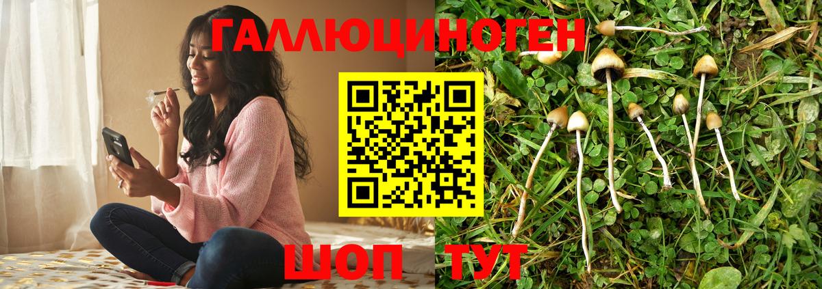 Псилоцибиновые грибы GOLDEN TEACHER  Псилоцибиновые грибы мухоморы  Шарыпово  Вход с VPN 