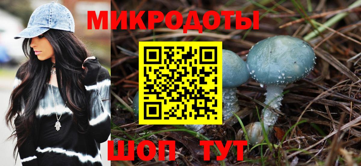 Псилоцибиновые грибы Cubensis Шарыпово